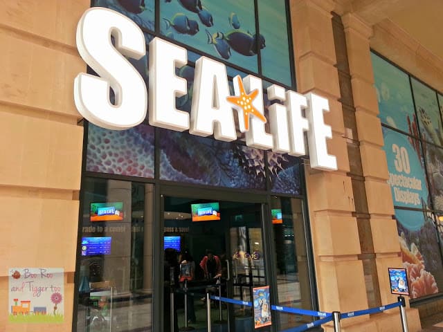 Sea Life Centre Manchester | Boo Roo and Tigger Too