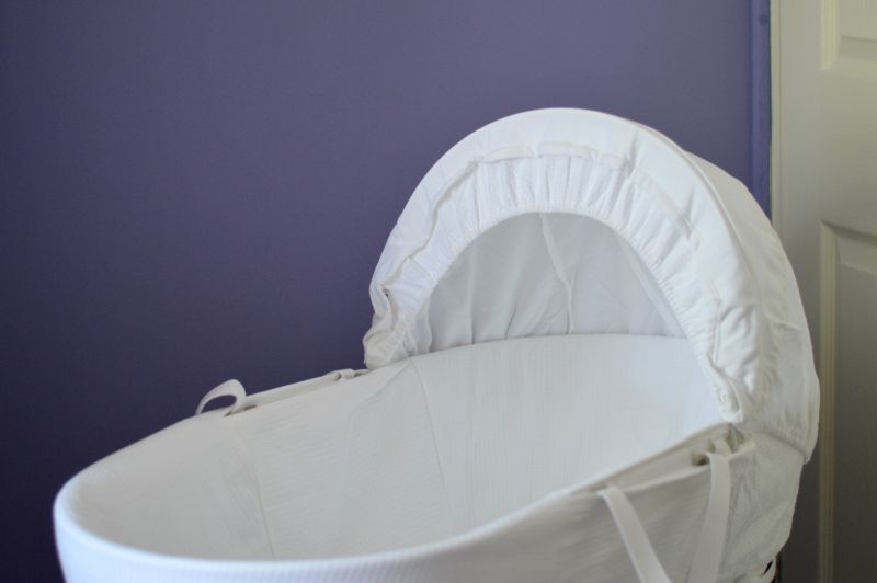 shnuggle classic moses basket