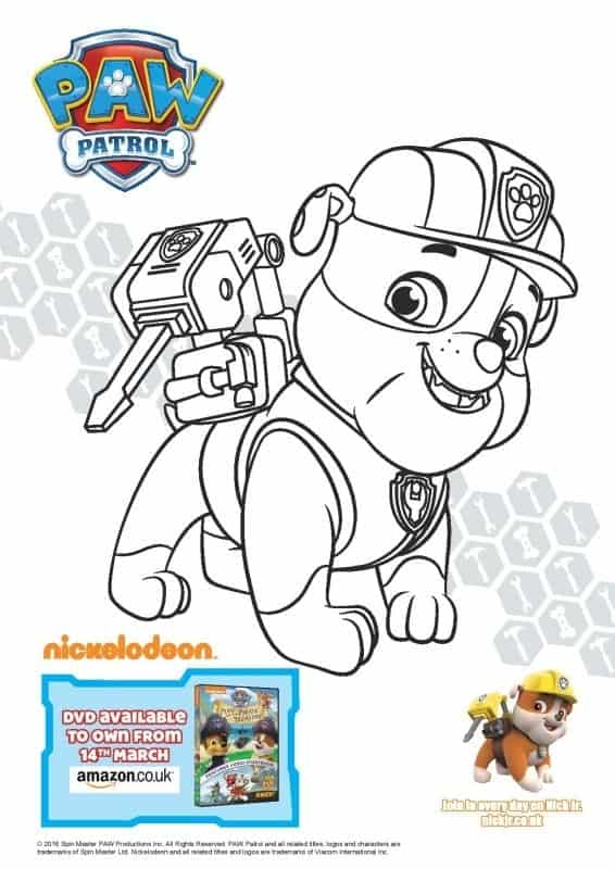 Paw Patrol: Pups and the Pirate Treasure DVD