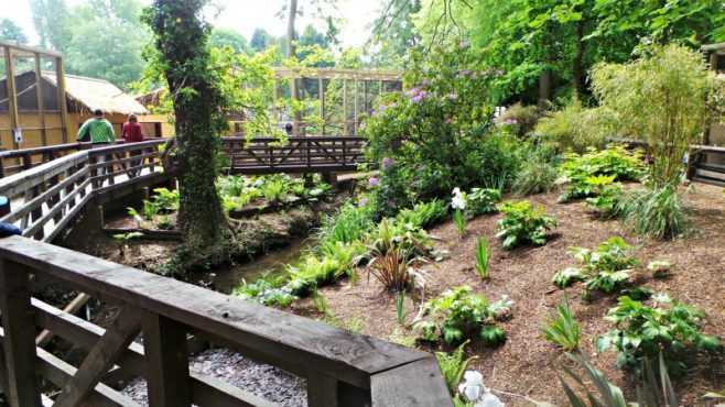 A wooden bench in a garden