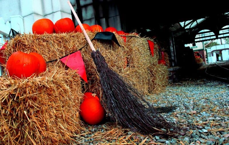 A pile of hay