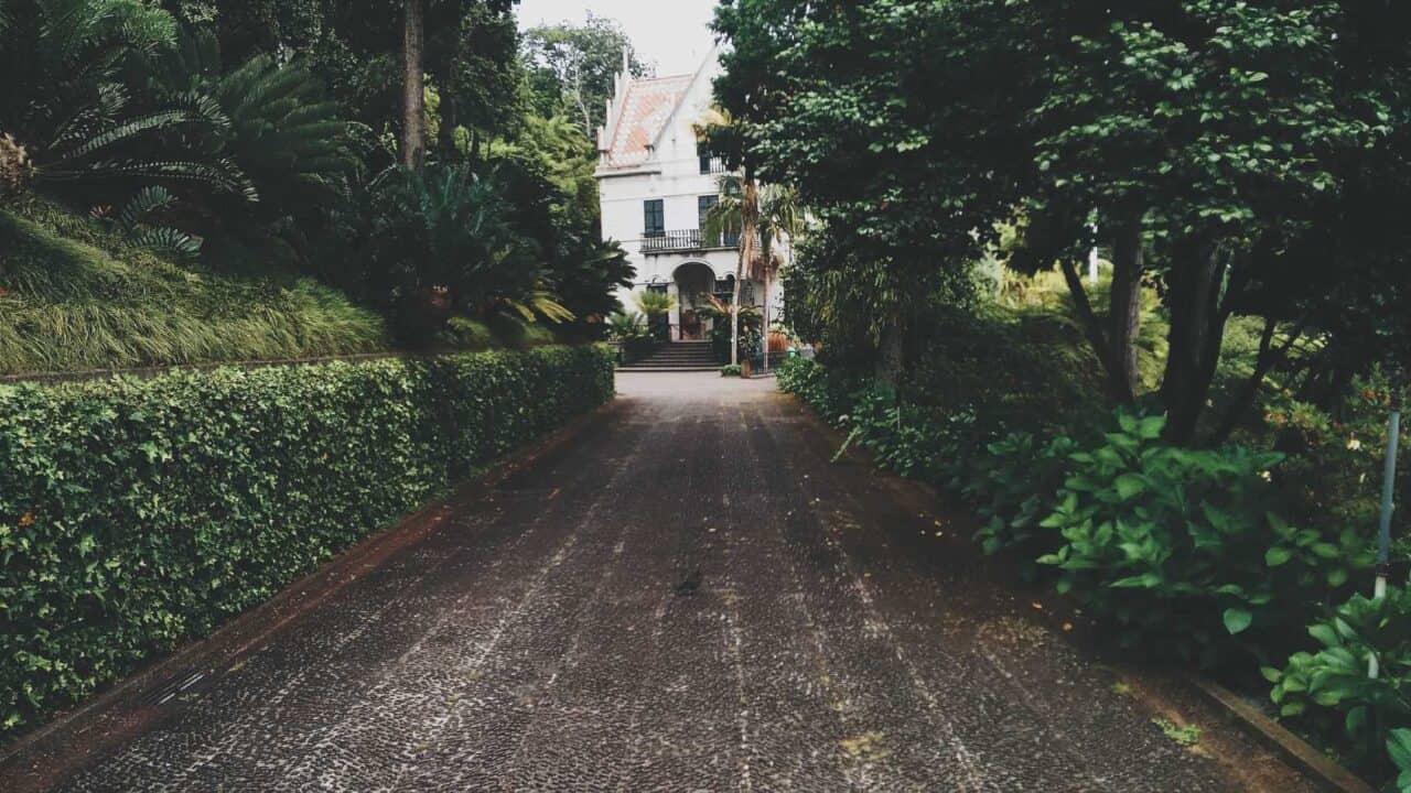 A path with trees on the side of a house