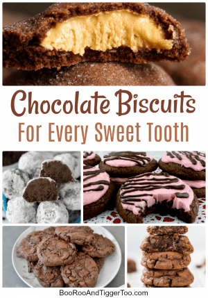 Chocolate Cookies For Every Sweet Tooth | Boo Roo and Tigger Too