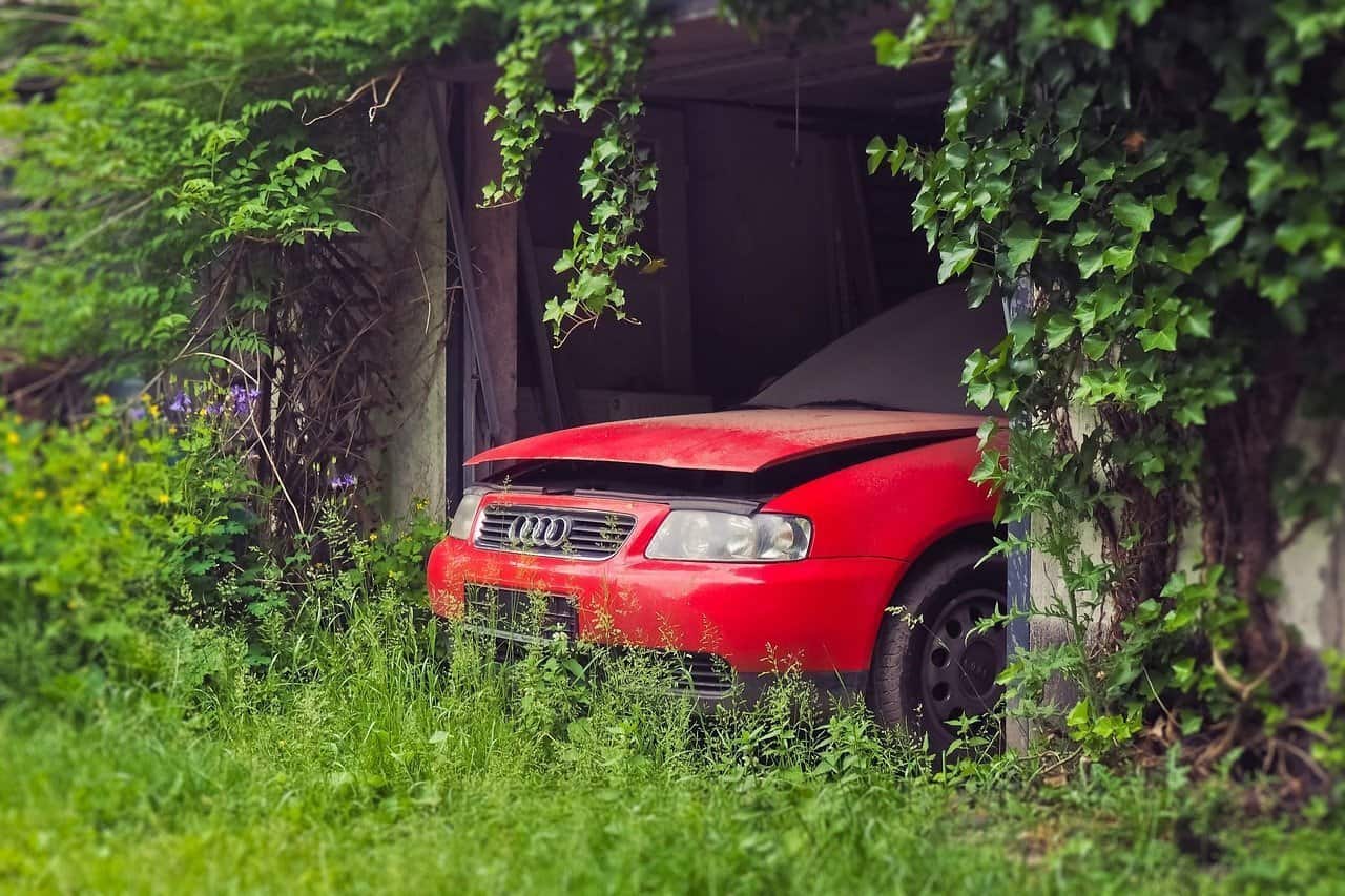 A car parked in the grass