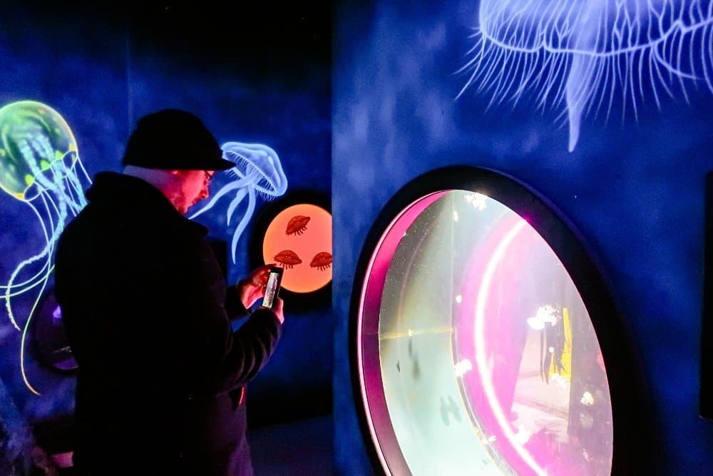 A man standing in front of a stage, with Sea Life