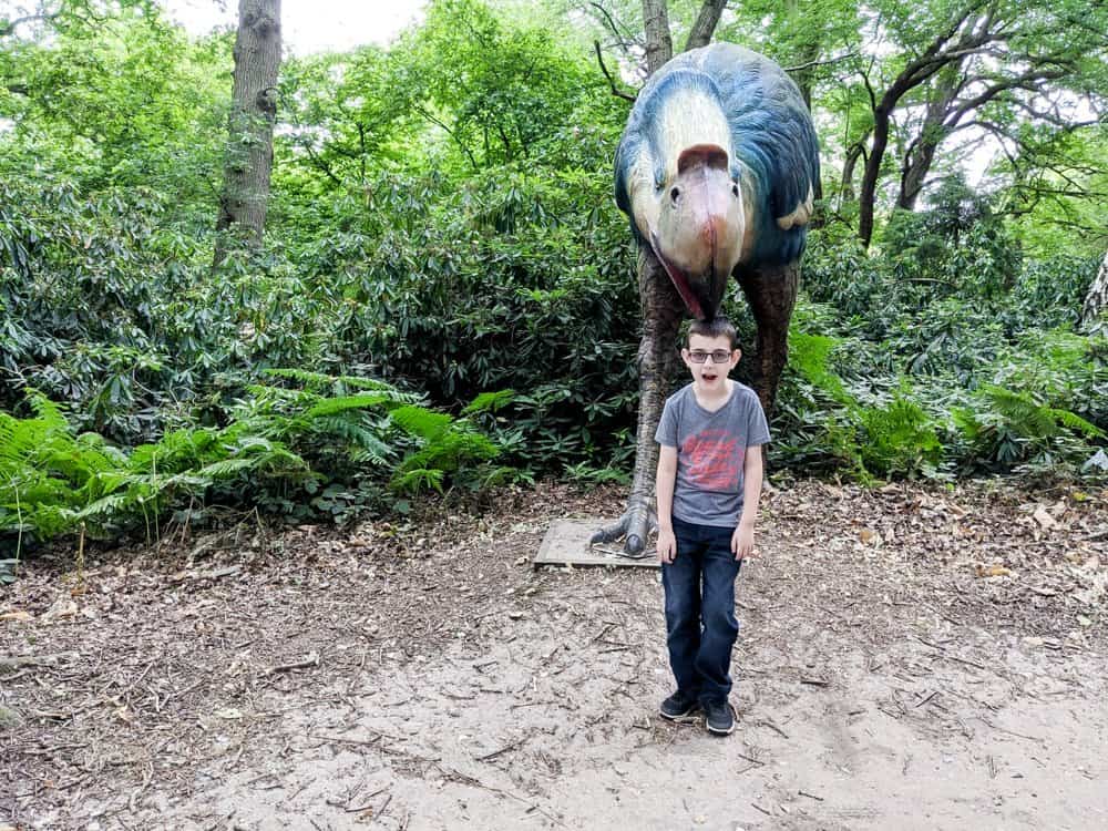 A visit to ROARR! Dinosaur Adventure - child standing in woodland with a dinosaur