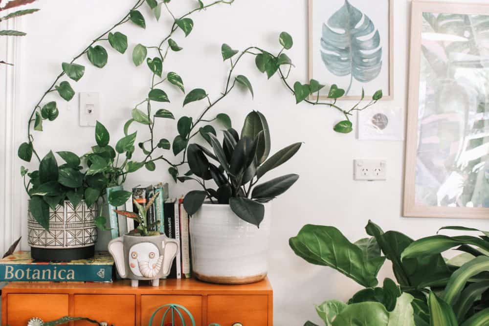 How to breathe new life into any room in your home