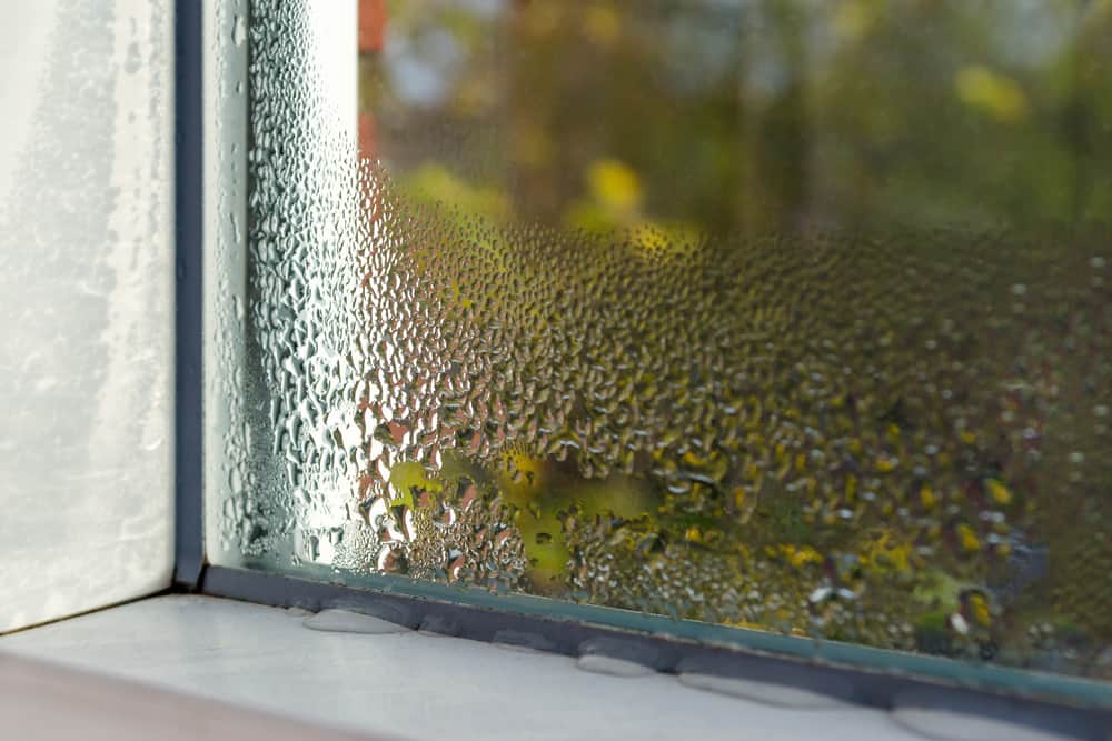 Window Condensation: How to Prevent It Once and For All