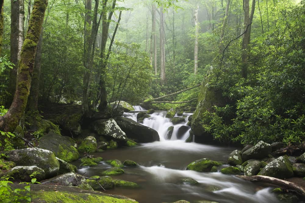 Six Tips for Your Next Visit to the Great Smoky Mountains