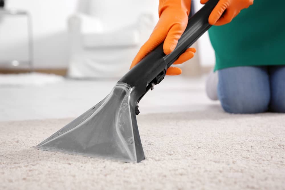 Benefits of Using a Carpet Steam Cleaner