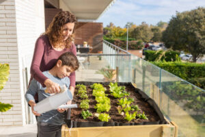 Urban Gardening Revolution: Aeroponics for Small Spaces