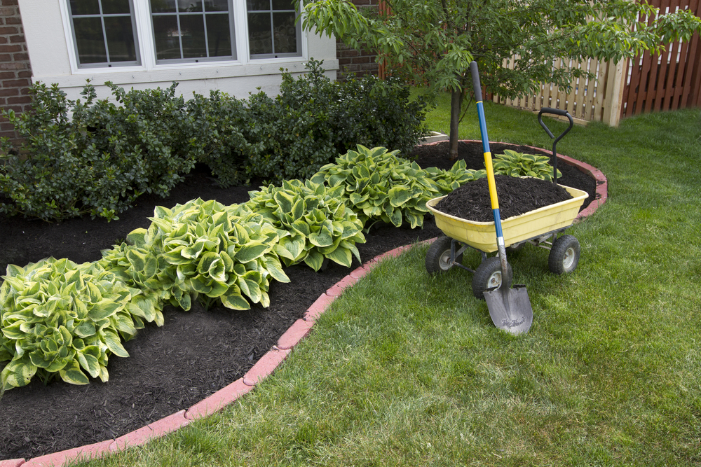 Can You Landscape Your Own Garden?
