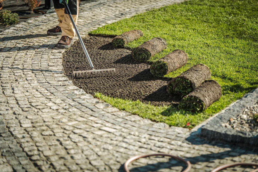 Can You Landscape Your Own Garden?
