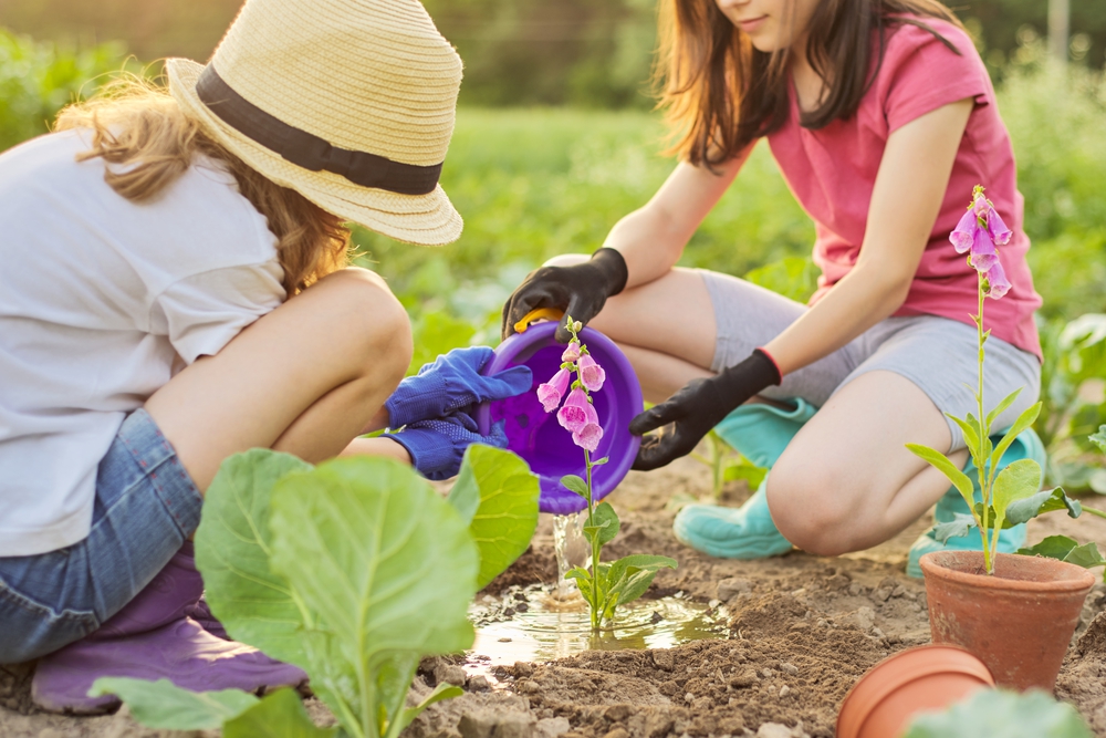 Why Start Gardening with Your Kids? Benefits and Fun