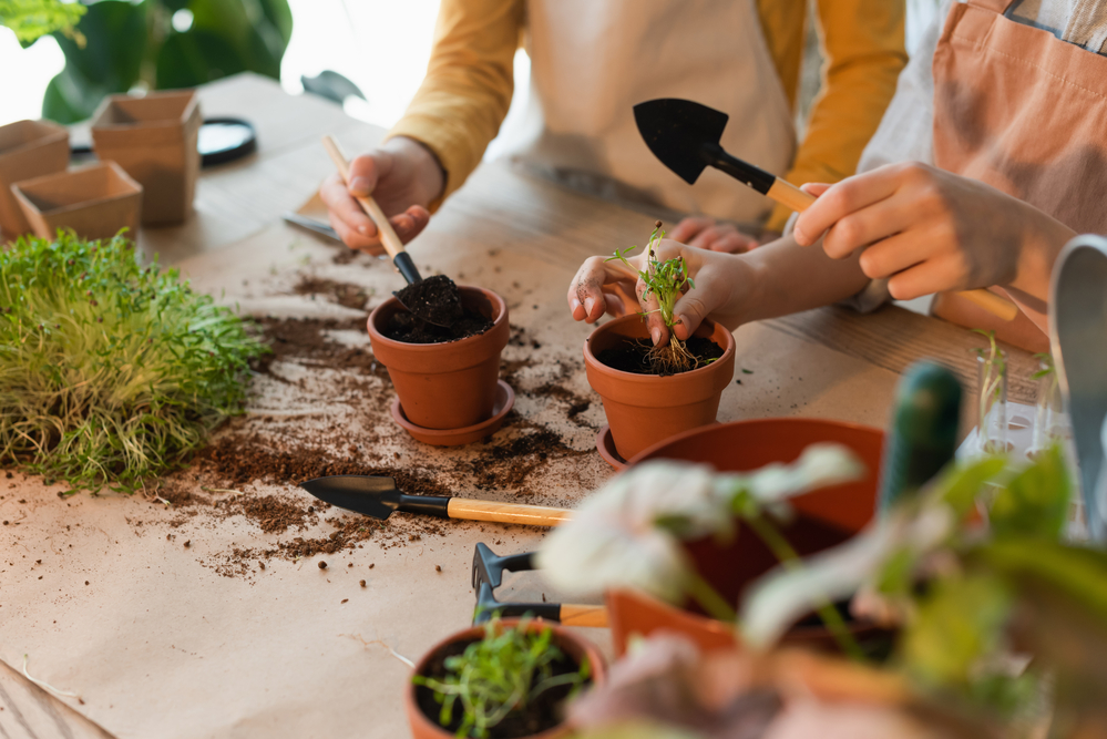 Why Start Gardening with Your Kids? Benefits and Fun