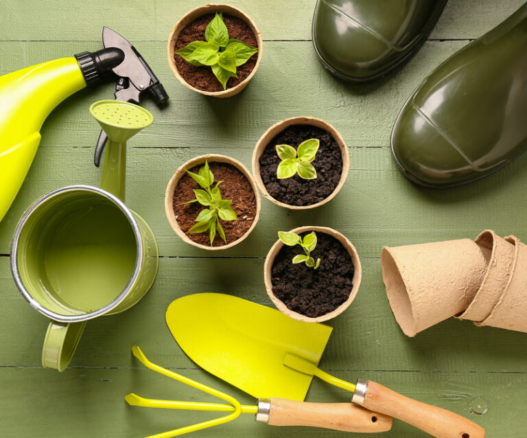 How to Begin Your Gardening Journey: A Guide