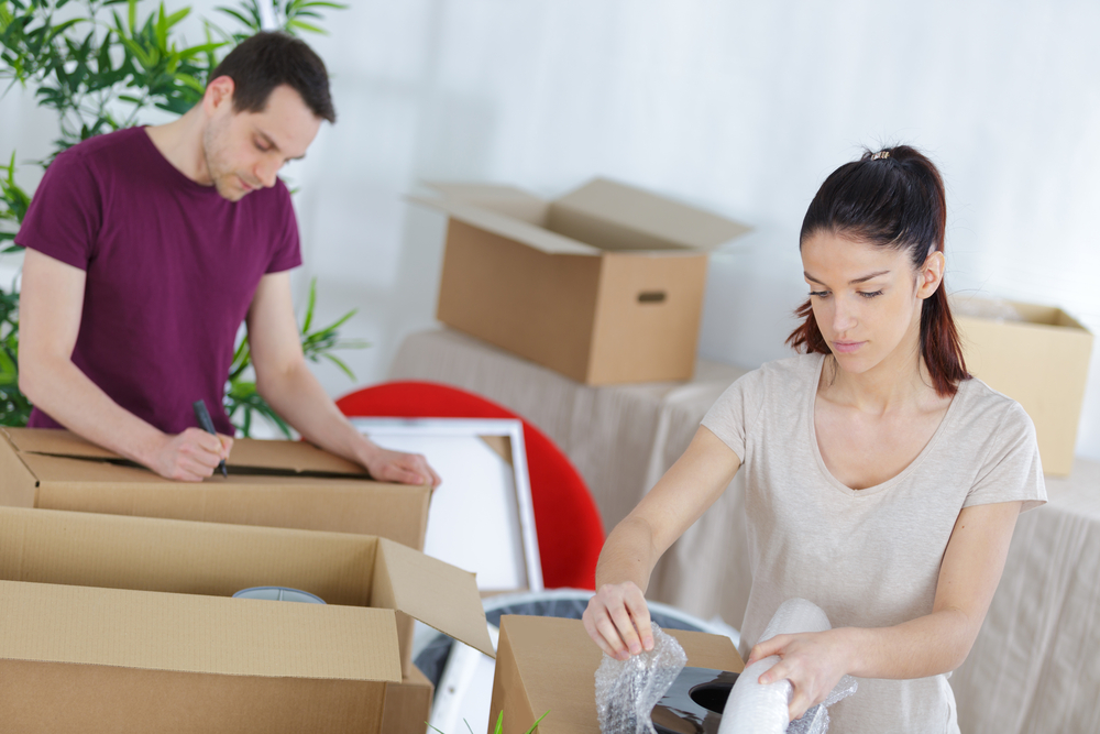 DIY vs. Professional Removalists: Pros and Cons