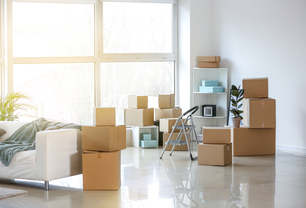 How to Plan Your Moving Day Timeline for a Smooth Transition