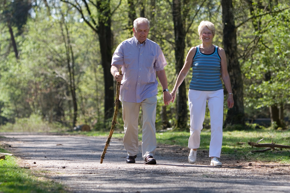 The Senior Wellness Handbook: Essential Insights for a Vibrant and Healthy Lifestyle