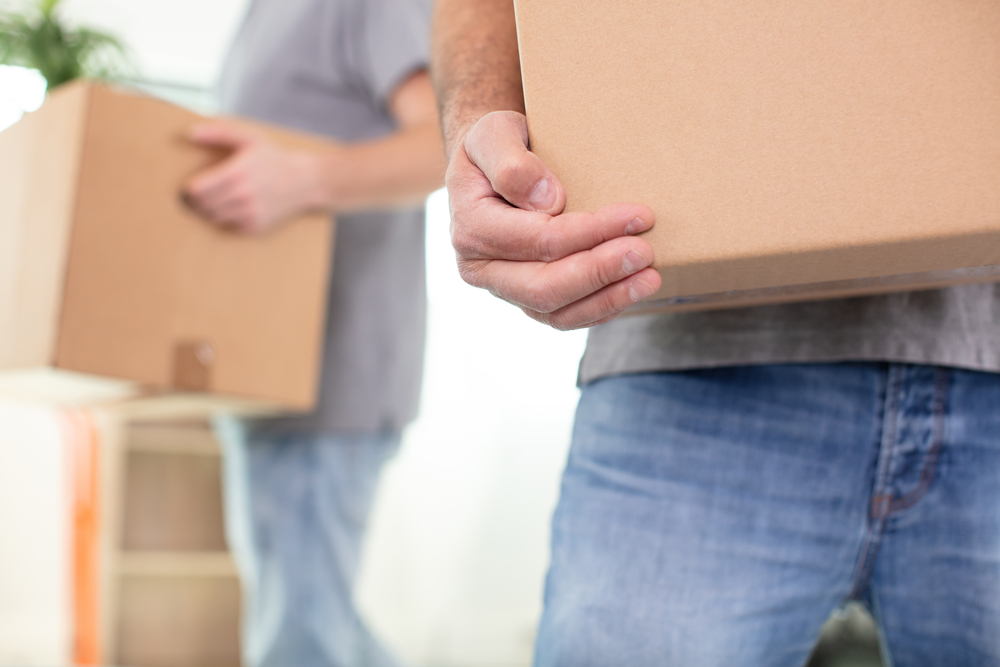 DIY vs. Professional Removalists: Pros and Cons