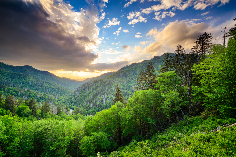 The Smokies: 7 Reasons Adventure Seekers Should Visit