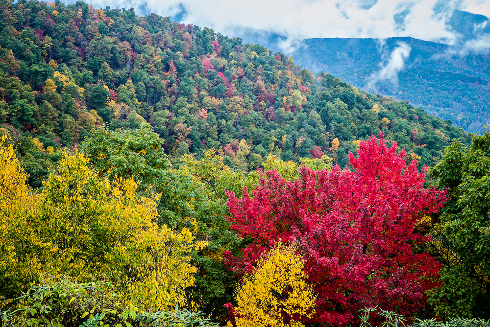 The Smokies: 7 Reasons Adventure Seekers Should Visit