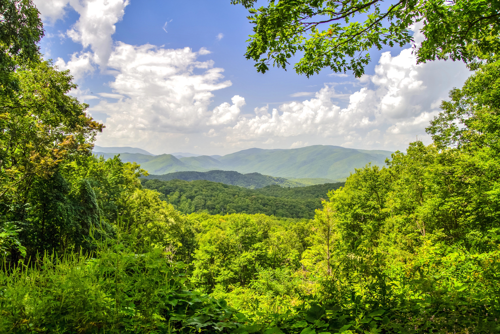 The Smokies: 7 Reasons Adventure Seekers Should Visit