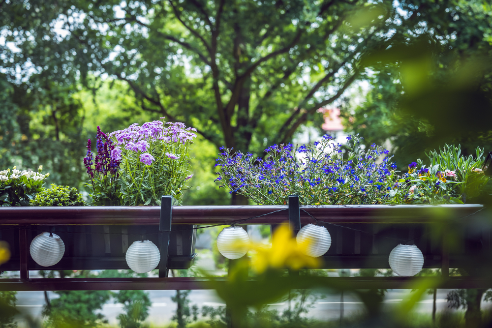 Cultivating a Flourishing Garden Paradise: 6 Important Tips