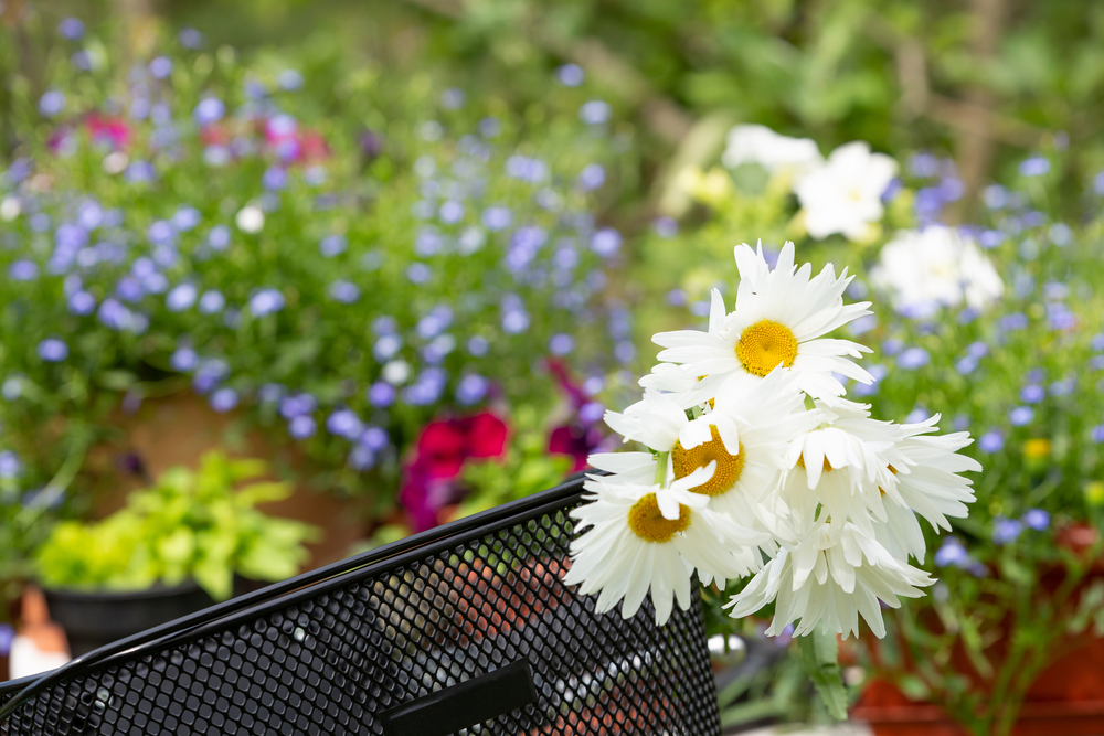 Cultivating a Flourishing Garden Paradise: 6 Important Tips