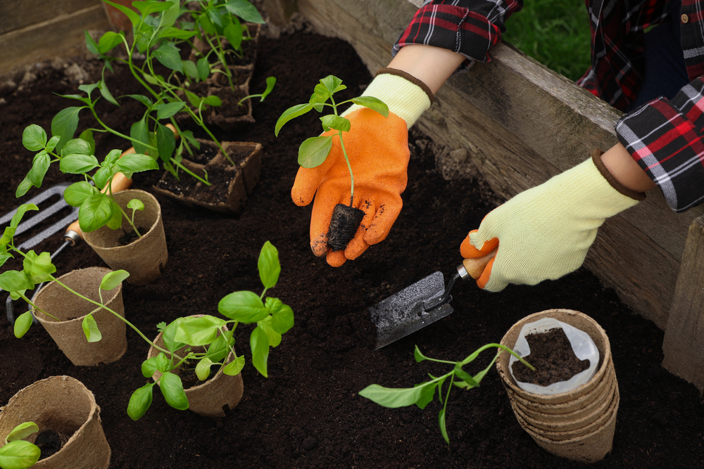 Garden Maintenance Tasks You Should Never Neglect