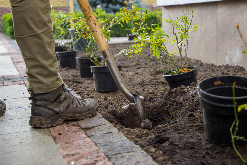 Garden Maintenance Tasks You Should Never Neglect