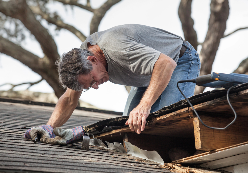 Different Flat Roof Types: Comparing the Cost Efficiency