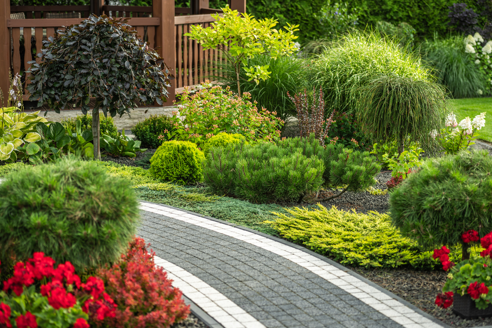 What Every Homeowner Needs to Know About Landscape Management