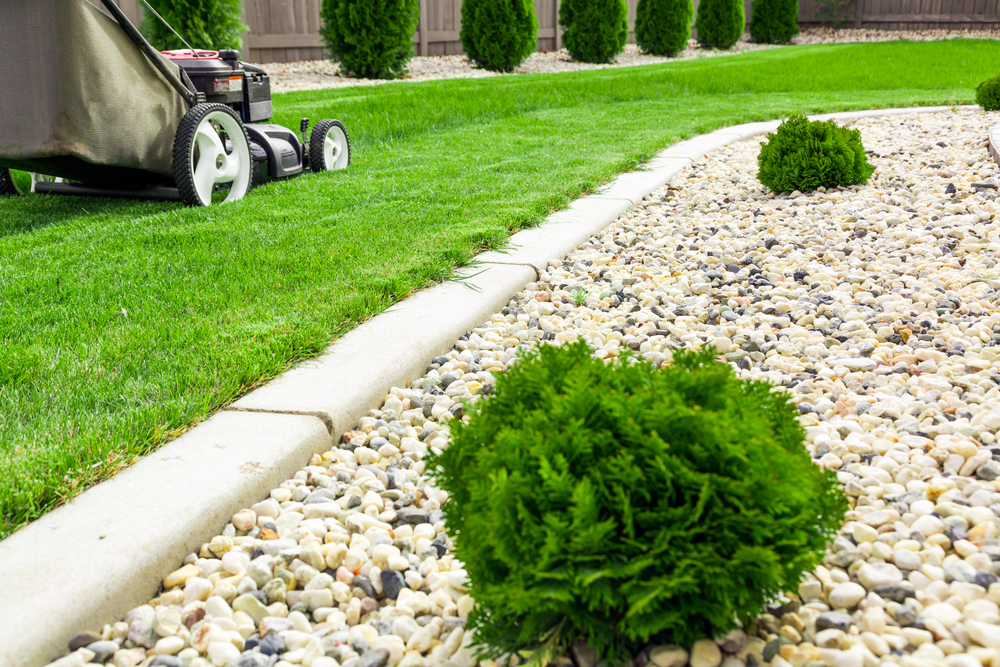 The Benefits of Professional Lawn Care Services