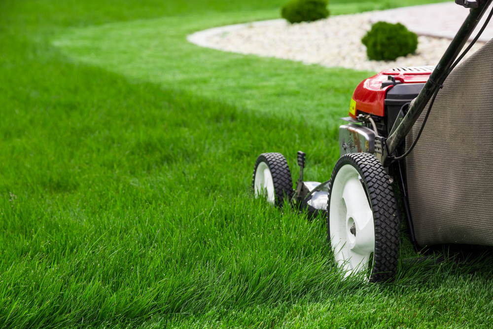 The Benefits of Professional Lawn Care Services