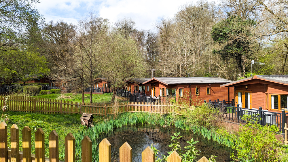 Whitemead Forest Park - Woodland Lodge