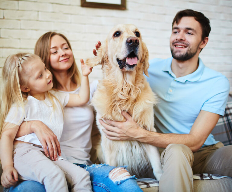 The True Cost of Pet Parenthood: More than Just Treats and Tail Wags