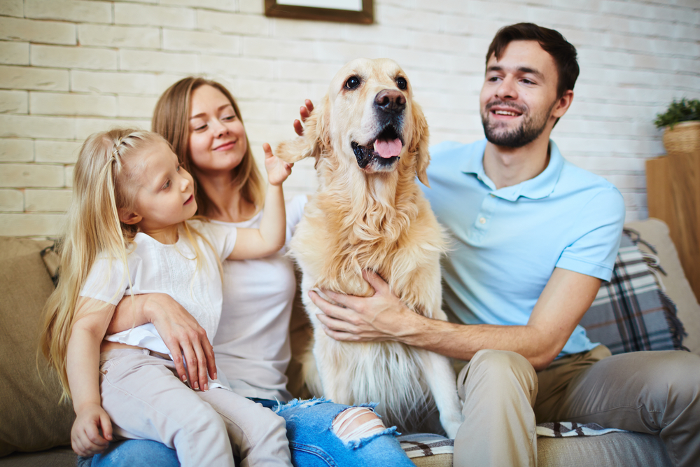 The True Cost of Pet Parenthood: More than Just Treats and Tail Wags