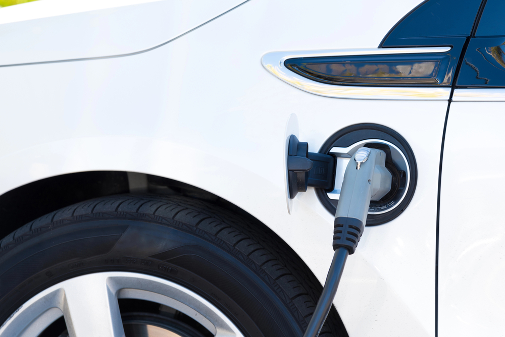 Navigating the Best Electric Cars for Your Clan 