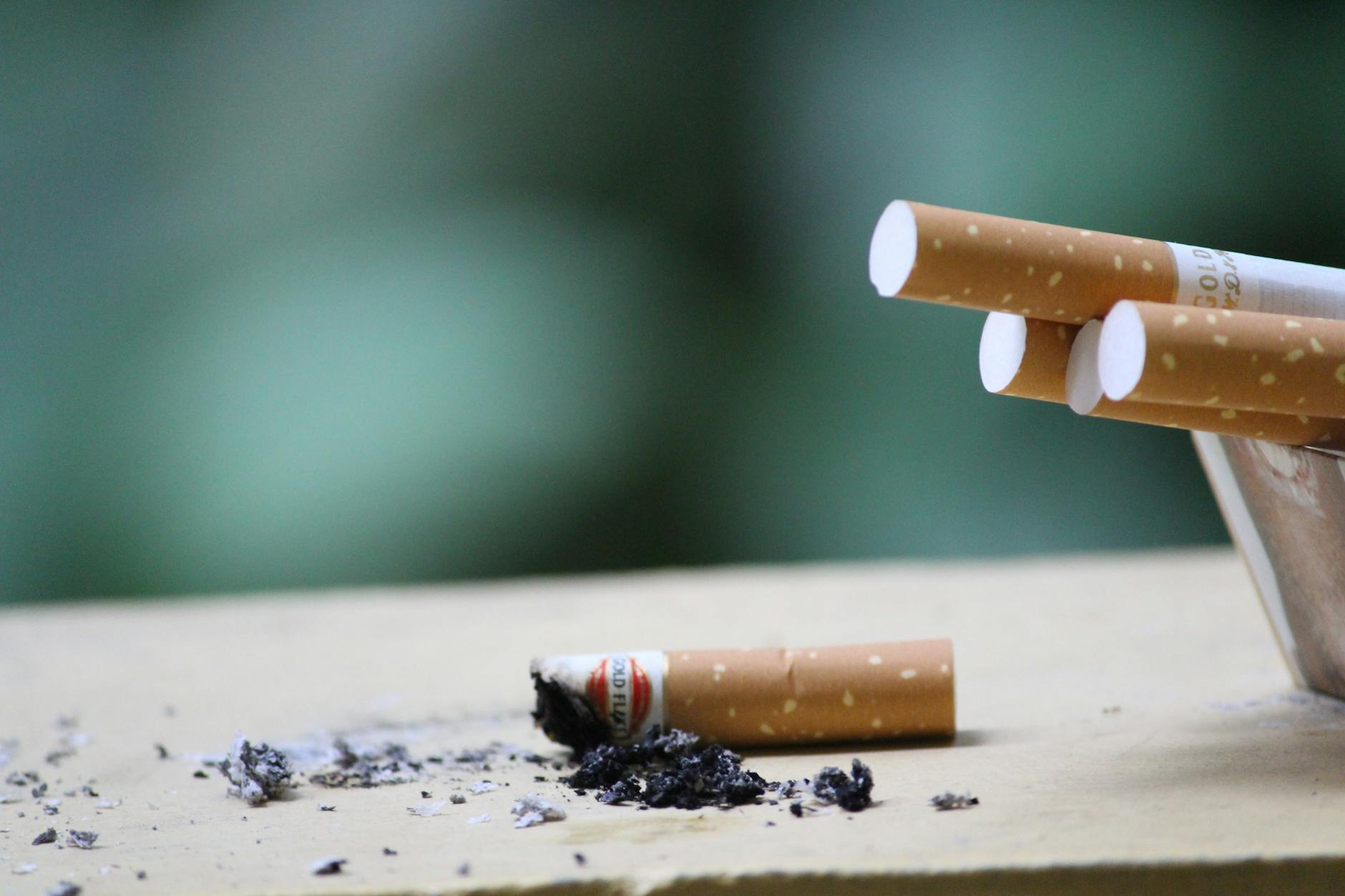 close up photo of cigarette ashes - What are the Types of Addiction?