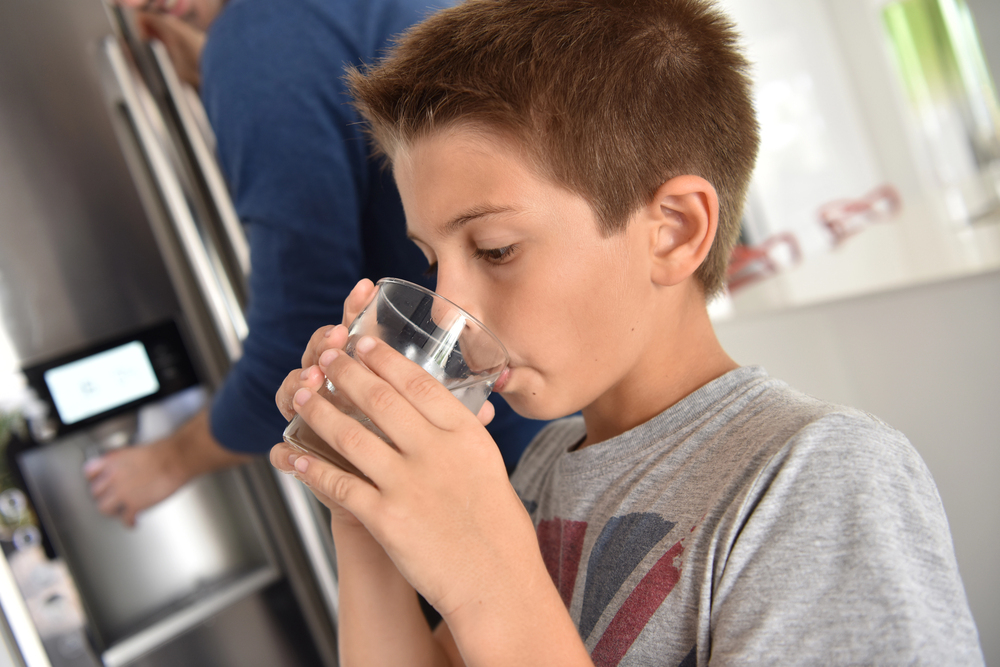 The Best Water Filters for Large Families: A Guide for 2025