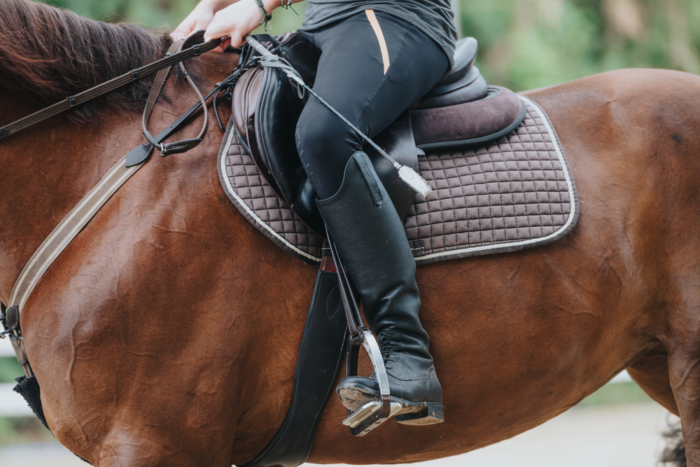 9 Ways to Care for Your Riding Pants and Extend Their Lifespan